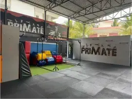 The Primate Movement